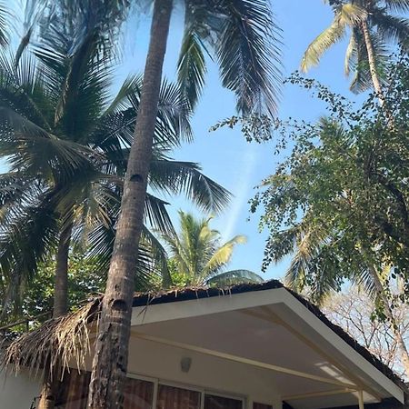 Taste Of Nature Canacona Exterior photo