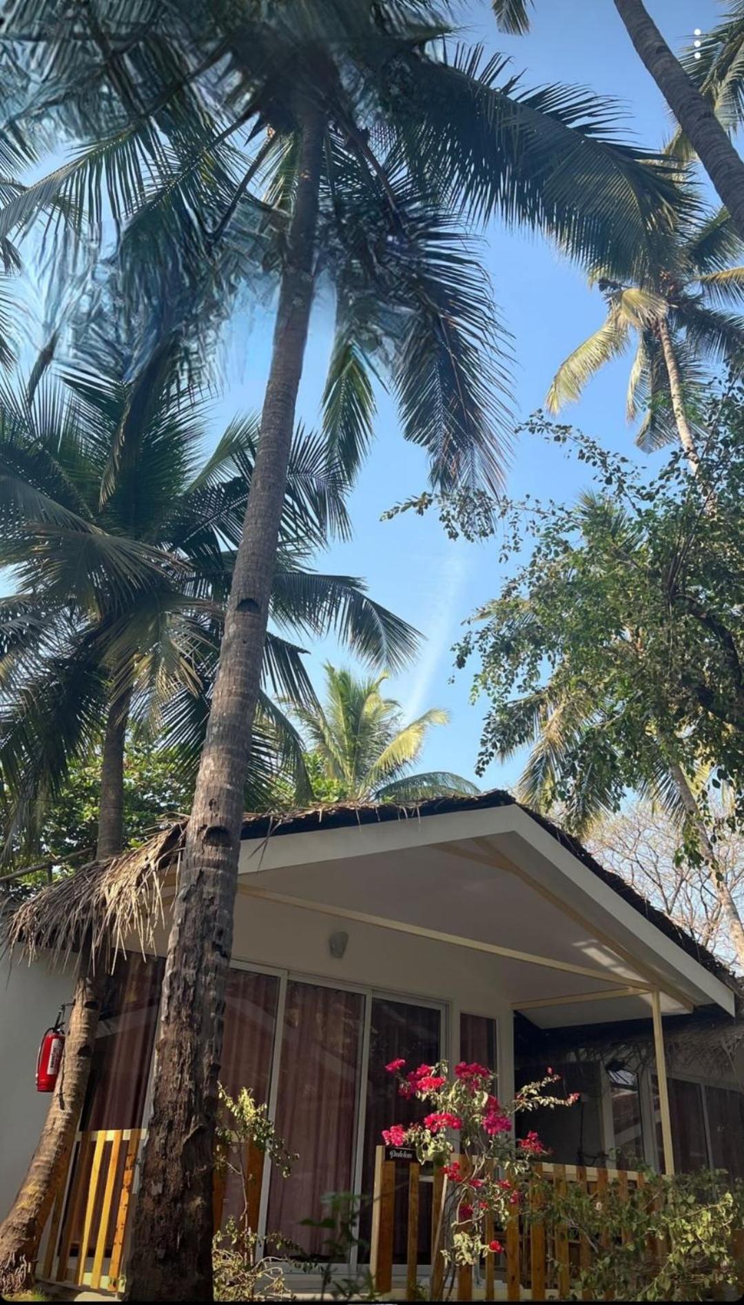 Taste Of Nature Canacona Exterior photo